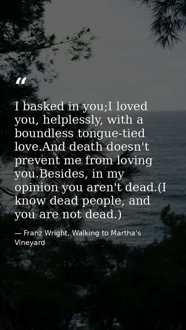 I basked in you;I loved you, helplessly, with a boundless tongue-tied love.And death doesn't prevent me from loving you. — Franz Wright, Walking to Martha's Vineyard