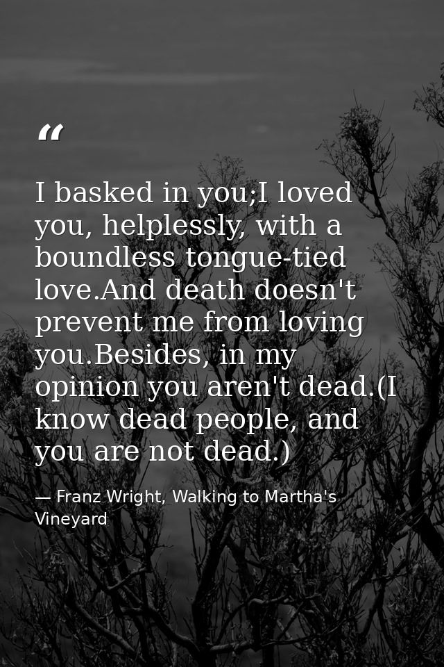 I basked in you;I loved you, helplessly, with a boundless tongue-tied love.And death doesn't prevent me from loving you. — Franz Wright, Walking to Martha's Vineyard