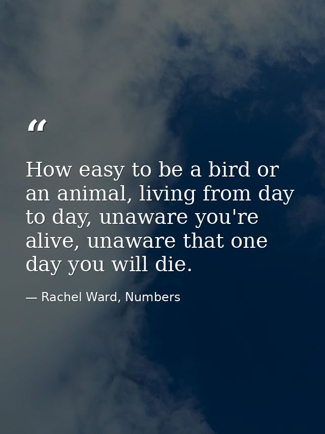 How easy to be a bird or an animal, living from day to day, unaware you're alive, unaware that one day you will die. — Rachel Ward, Numbers