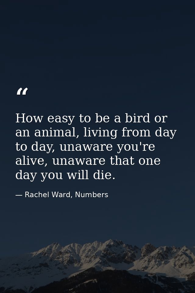 How easy to be a bird or an animal, living from day to day, unaware you're alive, unaware that one day you will die. — Rachel Ward, Numbers