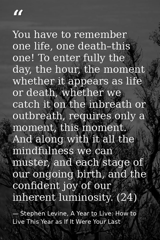 You have to remember one life, one death–this one! To enter fully the day, the hour, the moment whether it appears as li — Stephen Levine, A Year to Live: How to Live This Year as If It Were Your Last