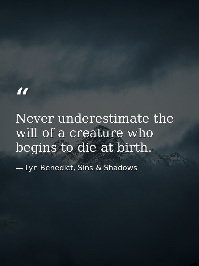Never underestimate the will of a creature who begins to die at birth. — Lyn Benedict, Sins & Shadows