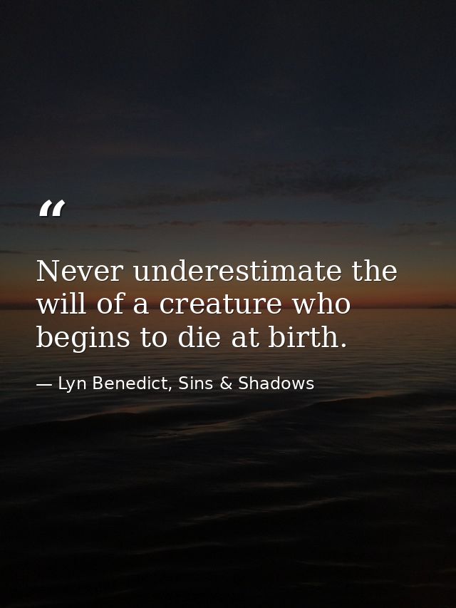 Never underestimate the will of a creature who begins to die at birth. — Lyn Benedict, Sins & Shadows
