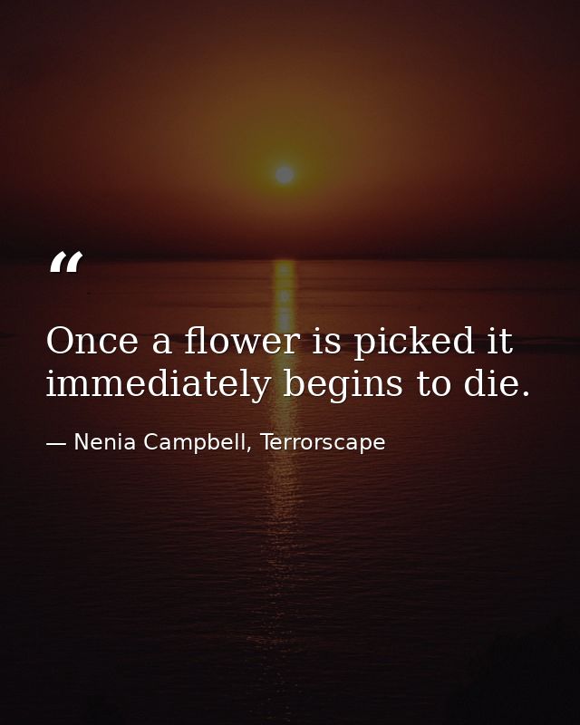 Once a flower is picked it immediately begins to die. — Nenia Campbell, Terrorscape