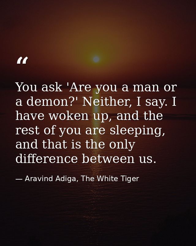 You ask 'Are you a man or a demon?' Neither, I say. I have woken up, and the rest of you are sleeping, and that is the o — Aravind Adiga, The White Tiger