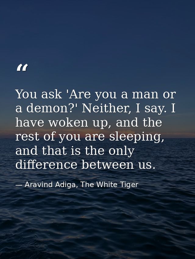 You ask 'Are you a man or a demon?' Neither, I say. I have woken up, and the rest of you are sleeping, and that is the o — Aravind Adiga, The White Tiger