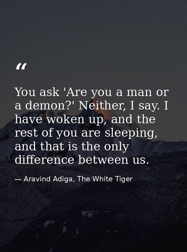 You ask 'Are you a man or a demon?' Neither, I say. I have woken up, and the rest of you are sleeping, and that is the o — Aravind Adiga, The White Tiger