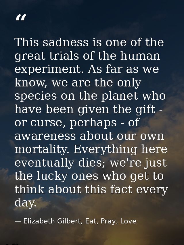 This sadness is one of the great trials of the human experiment. As far as we know, we are the only species on the plane — Elizabeth Gilbert, Eat, Pray, Love