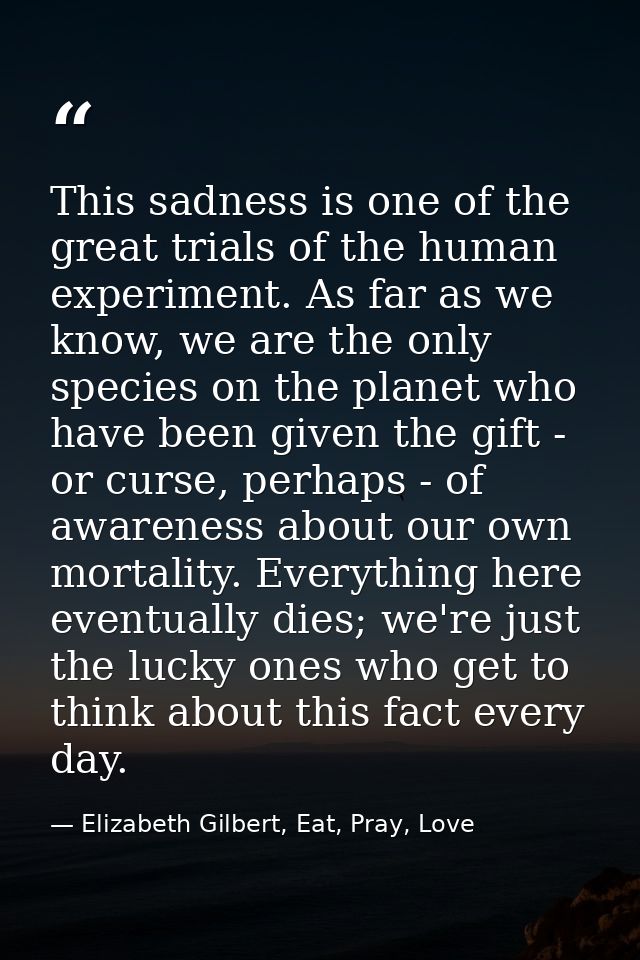 This sadness is one of the great trials of the human experiment. As far as we know, we are the only species on the plane — Elizabeth Gilbert, Eat, Pray, Love