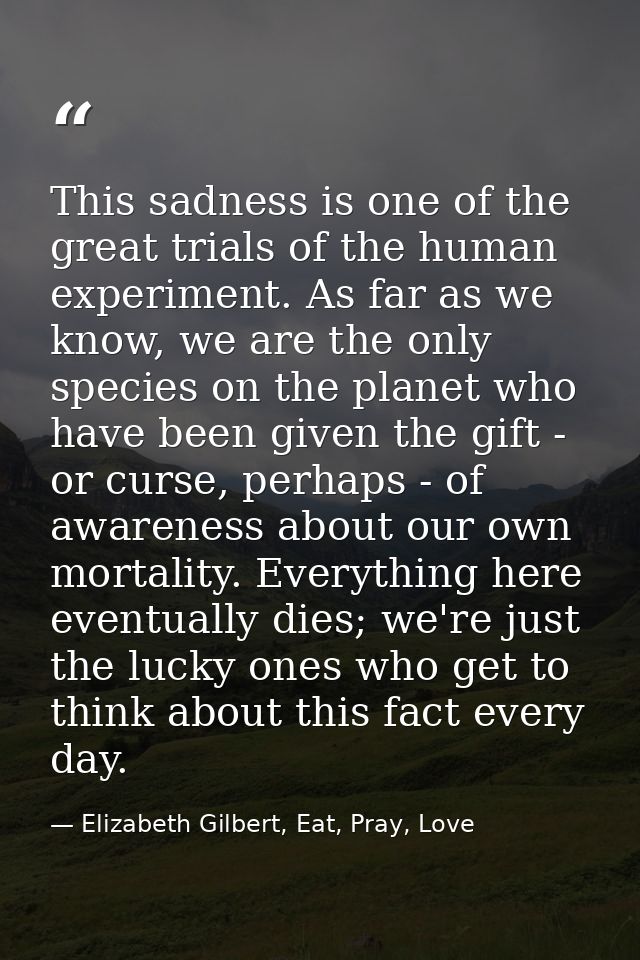 This sadness is one of the great trials of the human experiment. As far as we know, we are the only species on the plane — Elizabeth Gilbert, Eat, Pray, Love