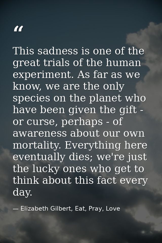 This sadness is one of the great trials of the human experiment. As far as we know, we are the only species on the plane — Elizabeth Gilbert, Eat, Pray, Love