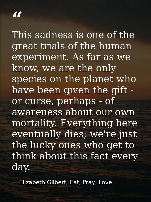 This sadness is one of the great trials of the human experiment. As far as we know, we are the only species on the plane — Elizabeth Gilbert, Eat, Pray, Love