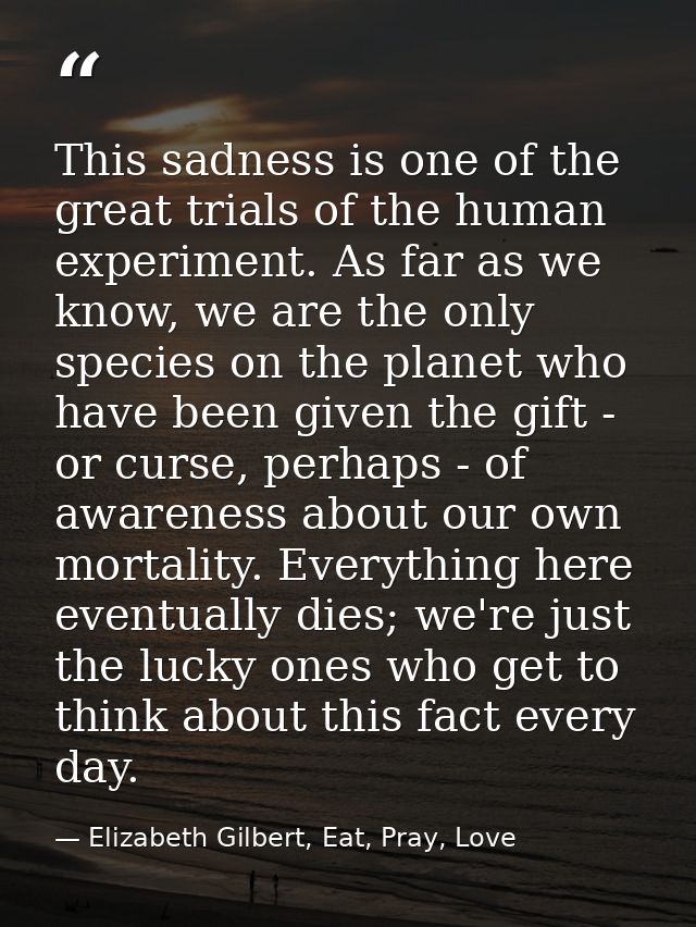 This sadness is one of the great trials of the human experiment. As far as we know, we are the only species on the plane — Elizabeth Gilbert, Eat, Pray, Love