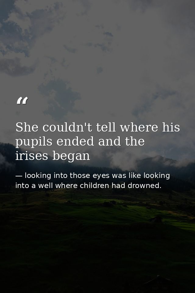 She couldn't tell where his pupils ended and the irises began — looking into those eyes was like looking into a well where children had drowned.