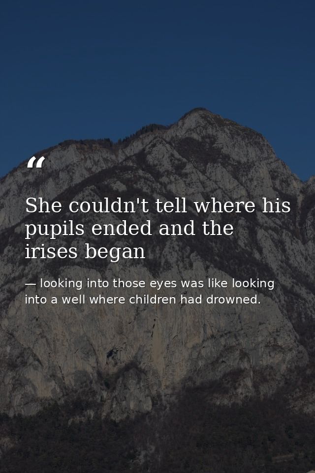 She couldn't tell where his pupils ended and the irises began — looking into those eyes was like looking into a well where children had drowned.