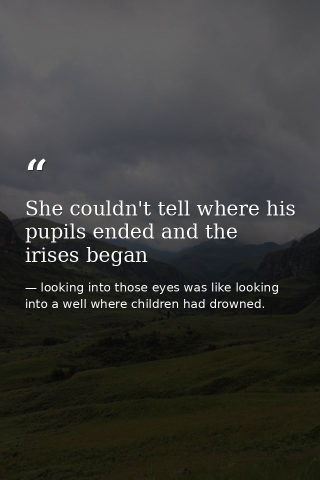 She couldn't tell where his pupils ended and the irises began — looking into those eyes was like looking into a well where children had drowned.