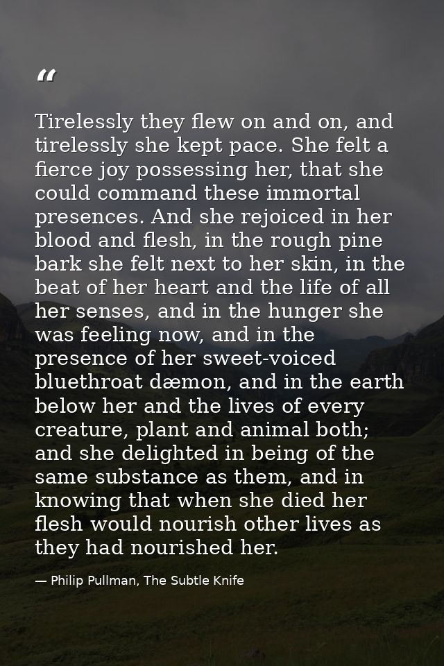 Tirelessly they flew on and on, and tirelessly she kept pace. She felt a fierce joy possessing her, that she could comma — Philip Pullman, The Subtle Knife