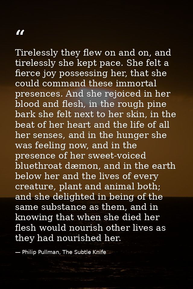 Tirelessly they flew on and on, and tirelessly she kept pace. She felt a fierce joy possessing her, that she could comma — Philip Pullman, The Subtle Knife