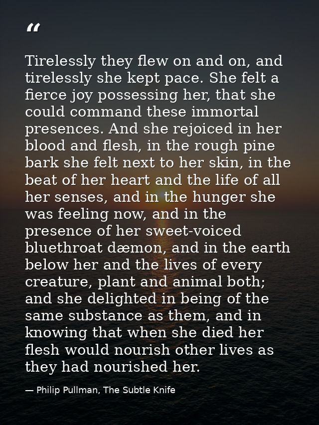 Tirelessly they flew on and on, and tirelessly she kept pace. She felt a fierce joy possessing her, that she could comma — Philip Pullman, The Subtle Knife