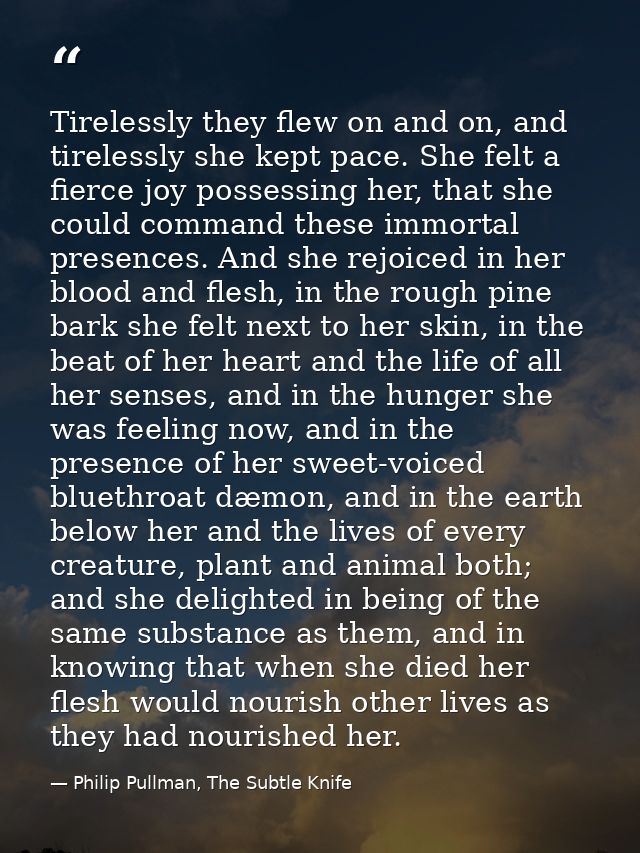 Tirelessly they flew on and on, and tirelessly she kept pace. She felt a fierce joy possessing her, that she could comma — Philip Pullman, The Subtle Knife