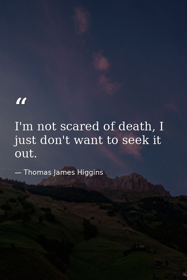 I'm not scared of death, I just don't want to seek it out. — Thomas James Higgins