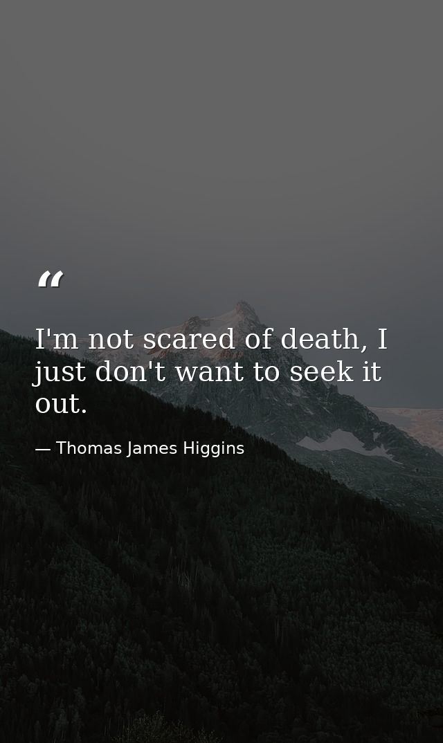 I'm not scared of death, I just don't want to seek it out. — Thomas James Higgins