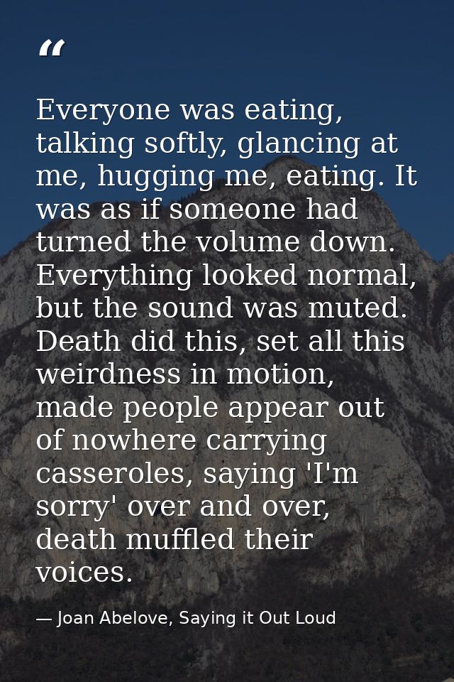 Everyone was eating, talking softly, glancing at me, hugging me, eating. It was as if someone had turned the volume down — Joan Abelove, Saying it Out Loud