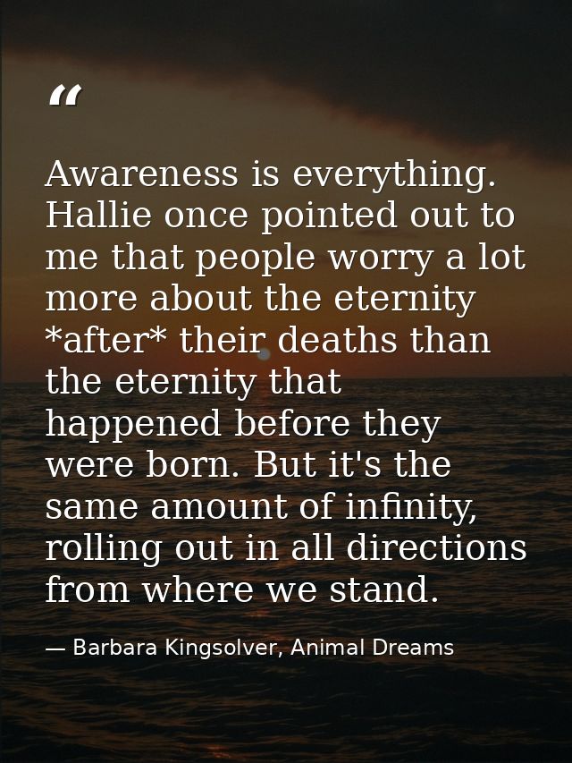 Awareness is everything. Hallie once pointed out to me that people worry a lot more about the eternity *after* their dea — Barbara Kingsolver, Animal Dreams