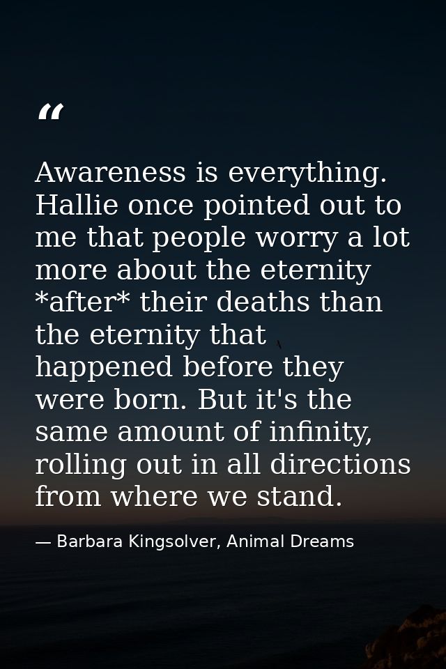 Awareness is everything. Hallie once pointed out to me that people worry a lot more about the eternity *after* their dea — Barbara Kingsolver, Animal Dreams