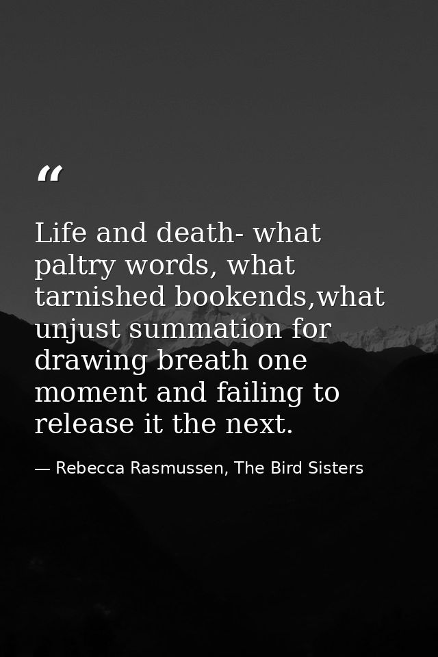 Life and death- what paltry words, what tarnished bookends,what unjust summation for drawing breath one moment and faili — Rebecca Rasmussen, The Bird Sisters