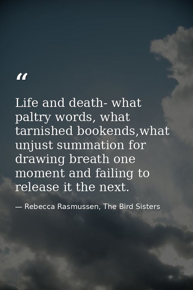 Life and death- what paltry words, what tarnished bookends,what unjust summation for drawing breath one moment and faili — Rebecca Rasmussen, The Bird Sisters