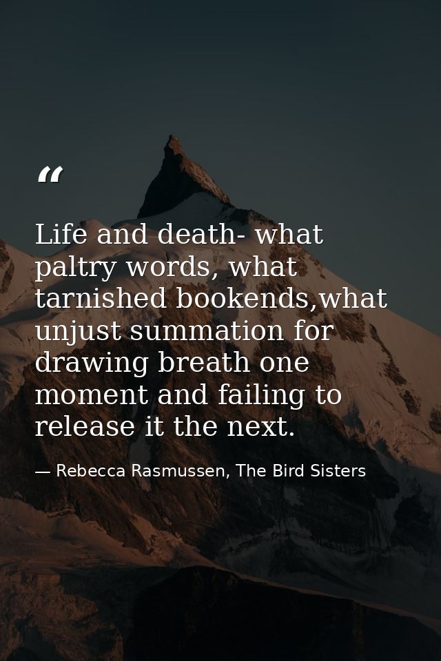 Life and death- what paltry words, what tarnished bookends,what unjust summation for drawing breath one moment and faili — Rebecca Rasmussen, The Bird Sisters