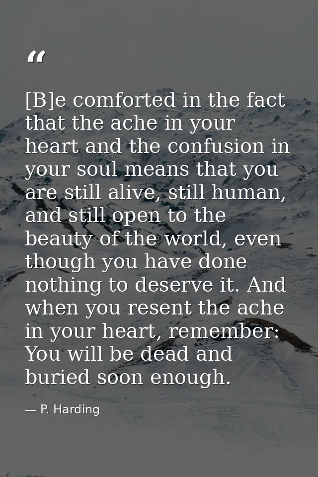 [B]e comforted in the fact that the ache in your heart and the confusion in your soul means that you are still alive, st — P. Harding