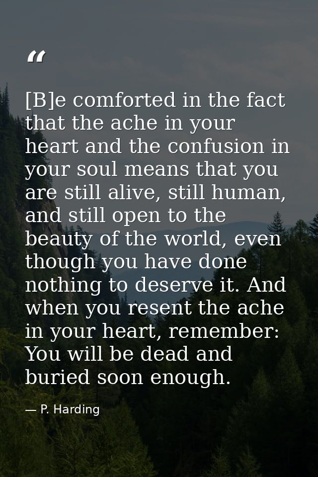 [B]e comforted in the fact that the ache in your heart and the confusion in your soul means that you are still alive, st — P. Harding
