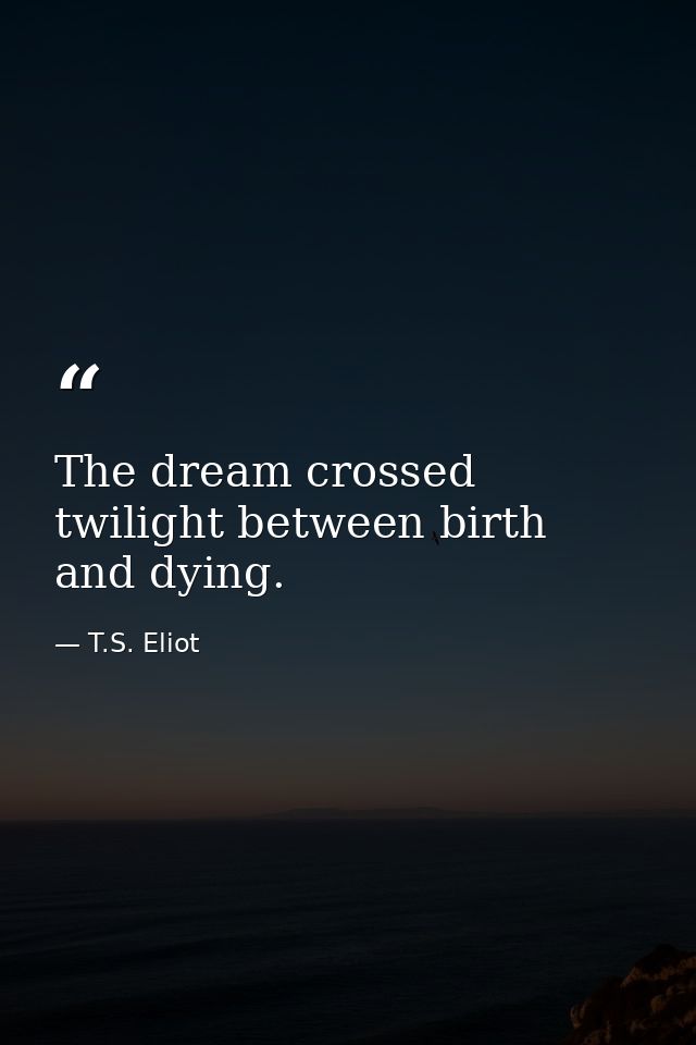The dream crossed twilight between birth and dying. — T.S. Eliot