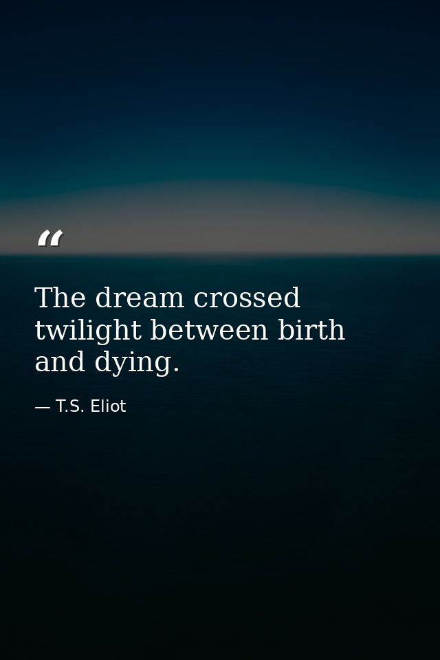 The dream crossed twilight between birth and dying. — T.S. Eliot