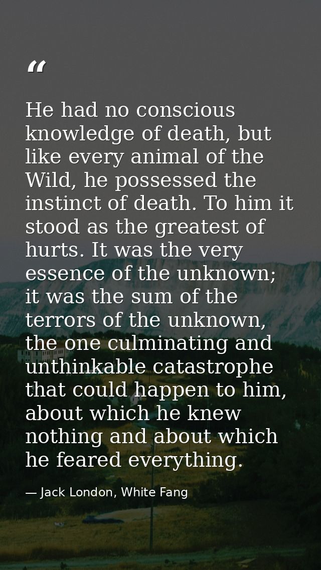 He had no conscious knowledge of death, but like every animal of the Wild, he possessed the instinct of death. To him it — Jack London, White Fang