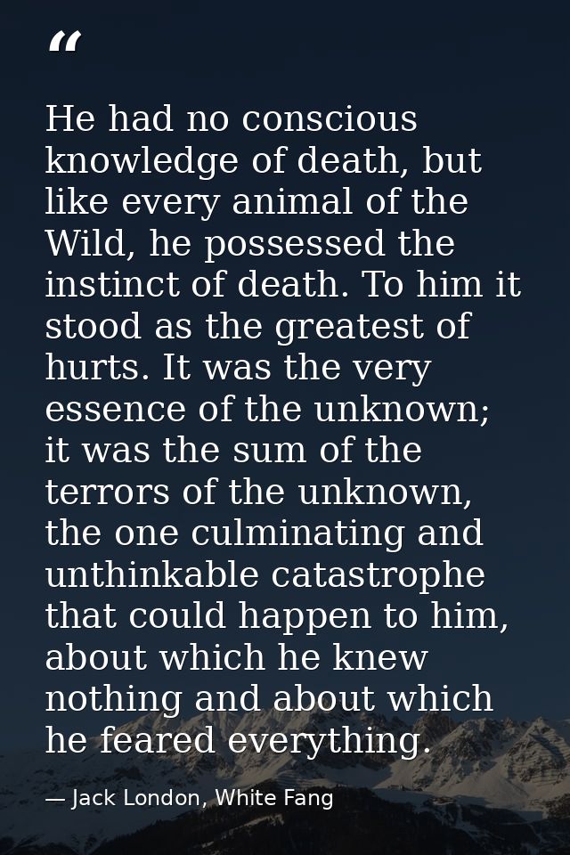 He had no conscious knowledge of death, but like every animal of the Wild, he possessed the instinct of death. To him it — Jack London, White Fang