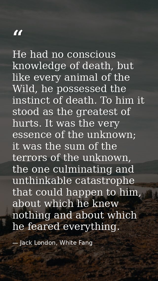 He had no conscious knowledge of death, but like every animal of the Wild, he possessed the instinct of death. To him it — Jack London, White Fang