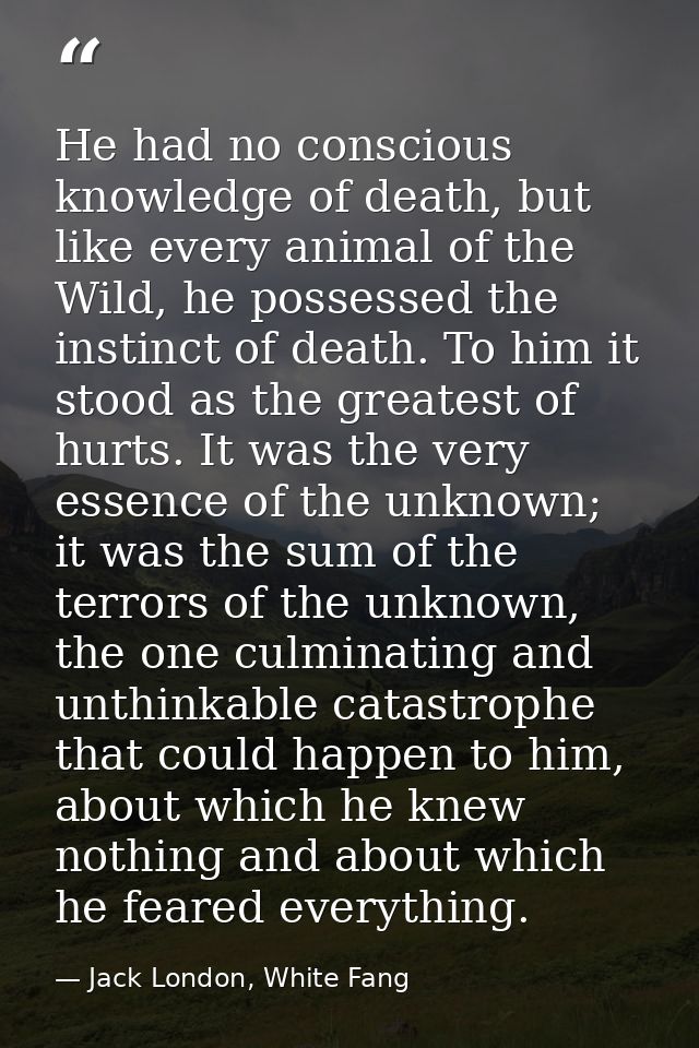 He had no conscious knowledge of death, but like every animal of the Wild, he possessed the instinct of death. To him it — Jack London, White Fang
