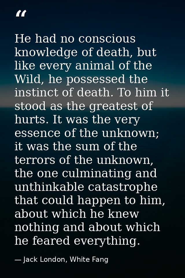 He had no conscious knowledge of death, but like every animal of the Wild, he possessed the instinct of death. To him it — Jack London, White Fang