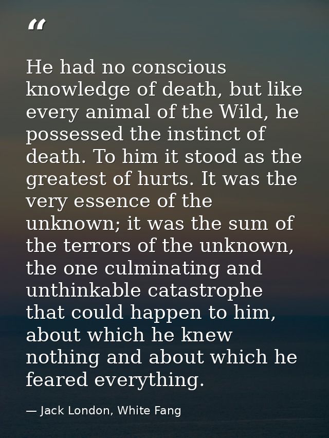 He had no conscious knowledge of death, but like every animal of the Wild, he possessed the instinct of death. To him it — Jack London, White Fang