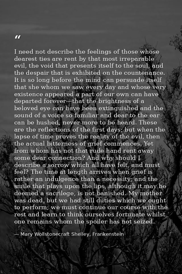 I need not describe the feelings of those whose dearest ties are rent by that most irreparable evil, the void that prese — Mary Wollstonecraft Shelley, Frankenstein