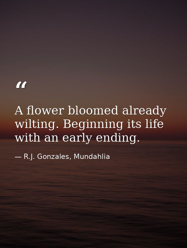 A flower bloomed already wilting. Beginning its life with an early ending. — R.J. Gonzales, Mundahlia