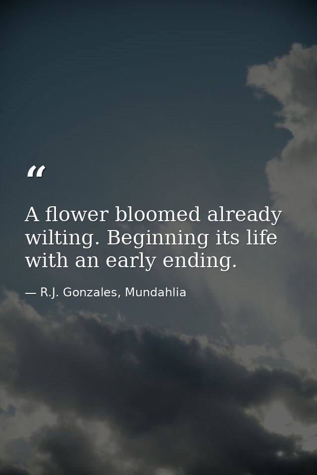 A flower bloomed already wilting. Beginning its life with an early ending. — R.J. Gonzales, Mundahlia