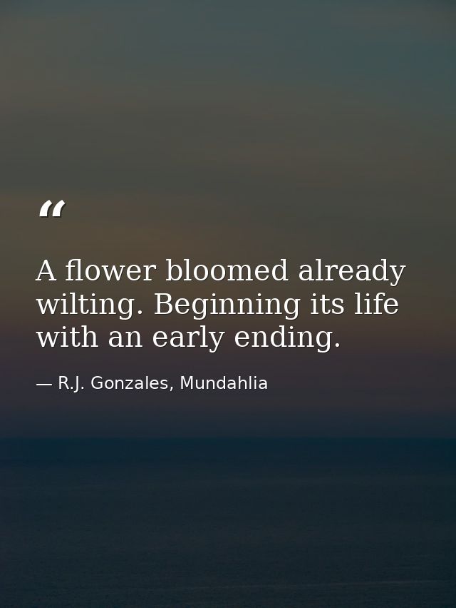 A flower bloomed already wilting. Beginning its life with an early ending. — R.J. Gonzales, Mundahlia