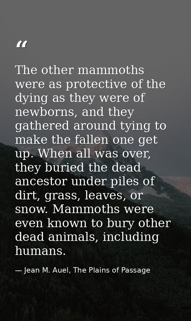 The other mammoths were as protective of the dying as they were of newborns, and they gathered around tying to make the  — Jean M. Auel, The Plains of Passage