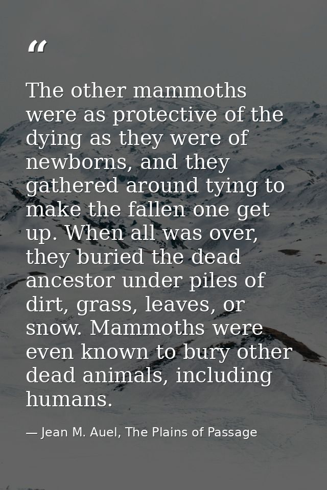 The other mammoths were as protective of the dying as they were of newborns, and they gathered around tying to make the  — Jean M. Auel, The Plains of Passage