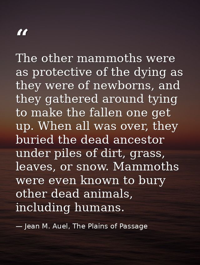 The other mammoths were as protective of the dying as they were of newborns, and they gathered around tying to make the  — Jean M. Auel, The Plains of Passage