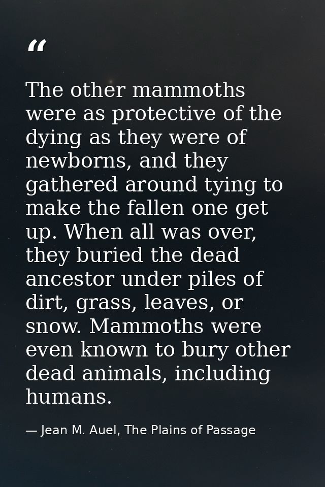The other mammoths were as protective of the dying as they were of newborns, and they gathered around tying to make the  — Jean M. Auel, The Plains of Passage